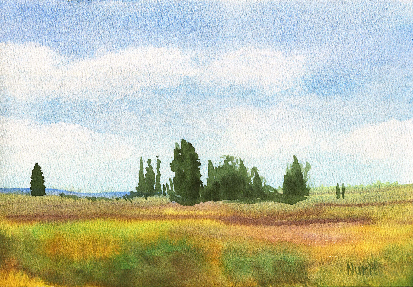 The Fields Remain