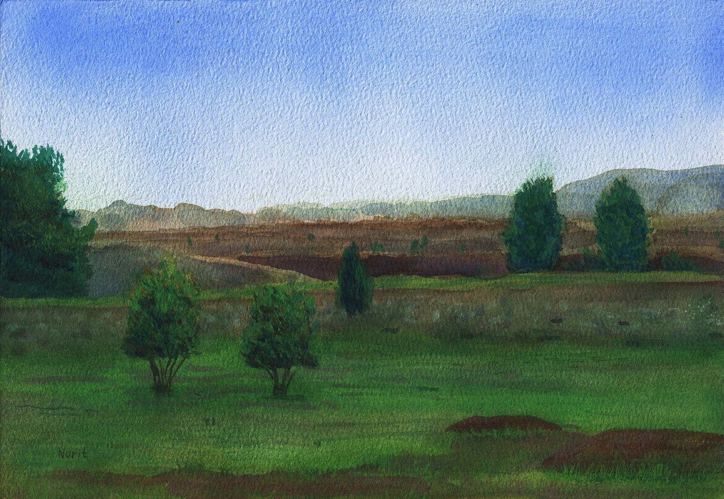 Fields in Winter, 2025