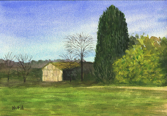 Shed Within the Fields